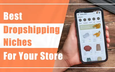 Best Dropshipping Niches for Beginners & Veterans (2024)