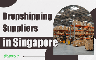 Best Dropshipping Suppliers in Singapore: Top 7 Picks for 2026