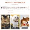print on demand Accessories