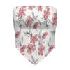 print on demand Bras & Panties