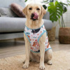 print on demand Pet Clothes