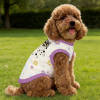 print on demand Pet Clothes