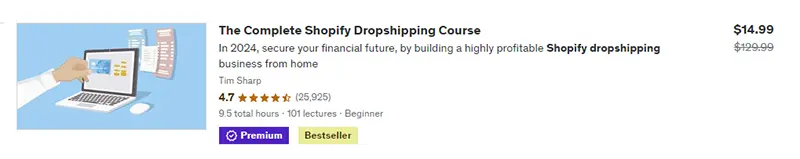 leading dropshipping course