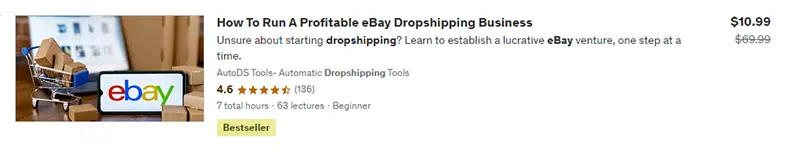 dropshipping lessons