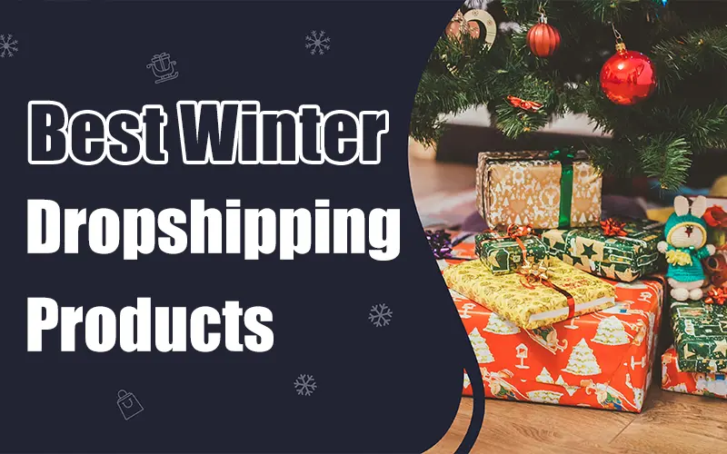 winter dropshipping products