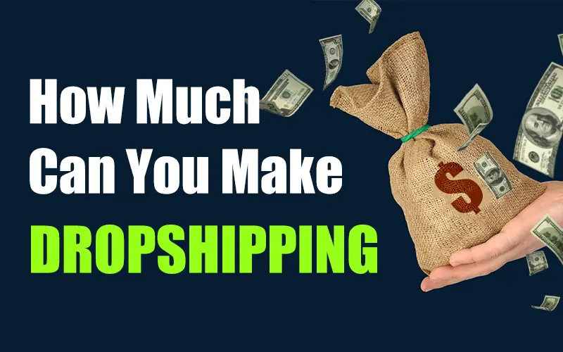 how much can you make dropshipping