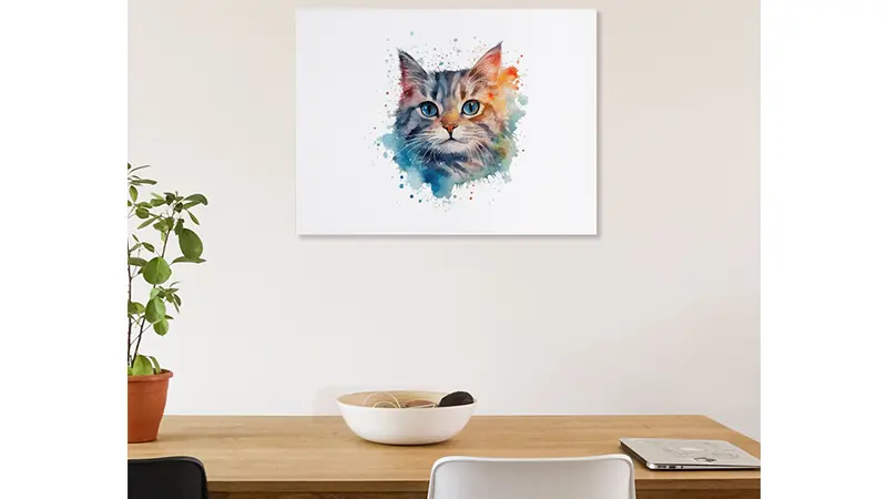 Gift ideas for cat lovers