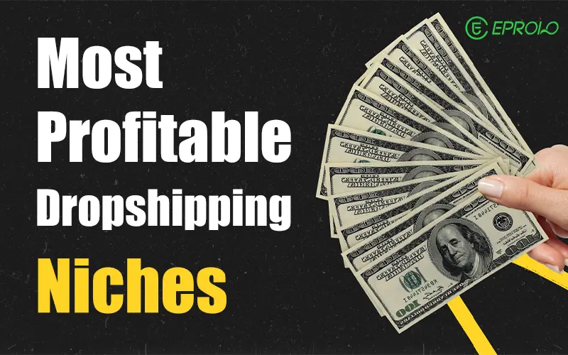 most profitable dropshipping niches