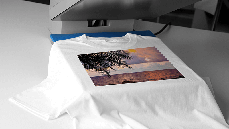Custom Women T-Shirt modern design platforms