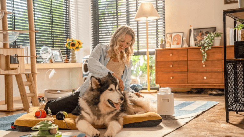 Pet grooming high ROI dropshipping