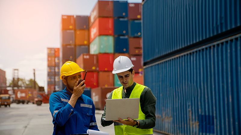 Supply Chain Flexibility supply chain