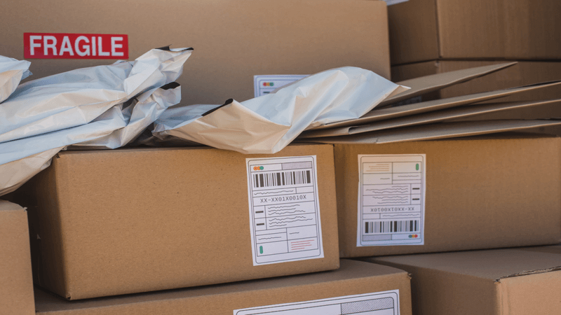 personalised canvas shoes