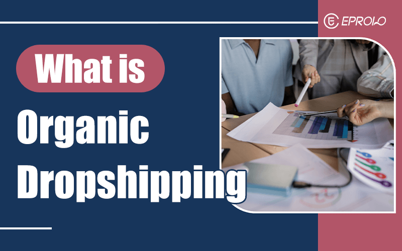 Organic Dropshipping Strategy