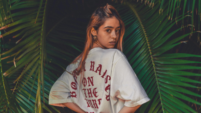 profitable t-shirt niches