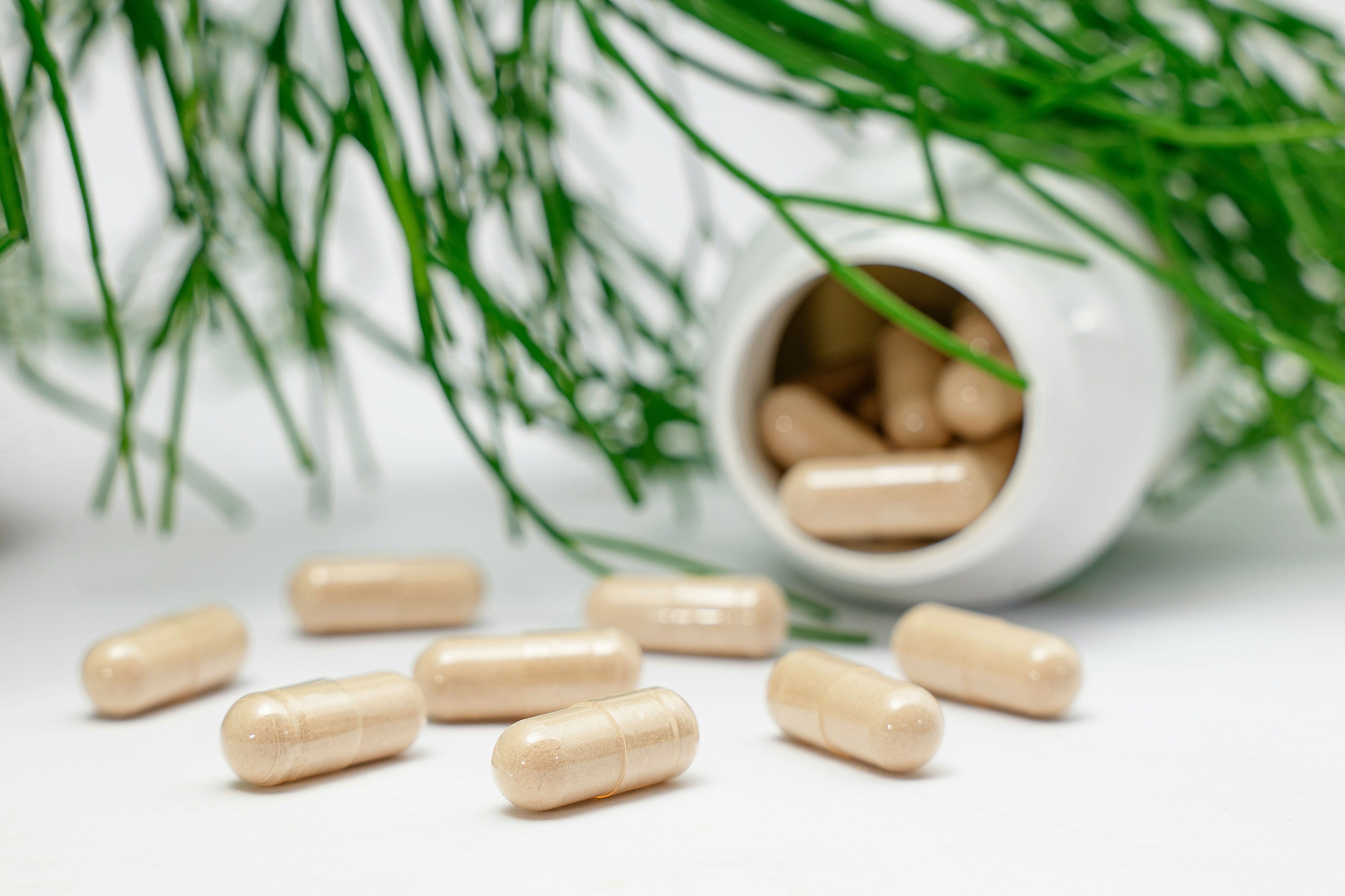 Multiple herbal supplement capsules spilling out of an open white bottle onto a clean surface next to green pine needles, showcasing an EPROLO supplement dropshipping product.