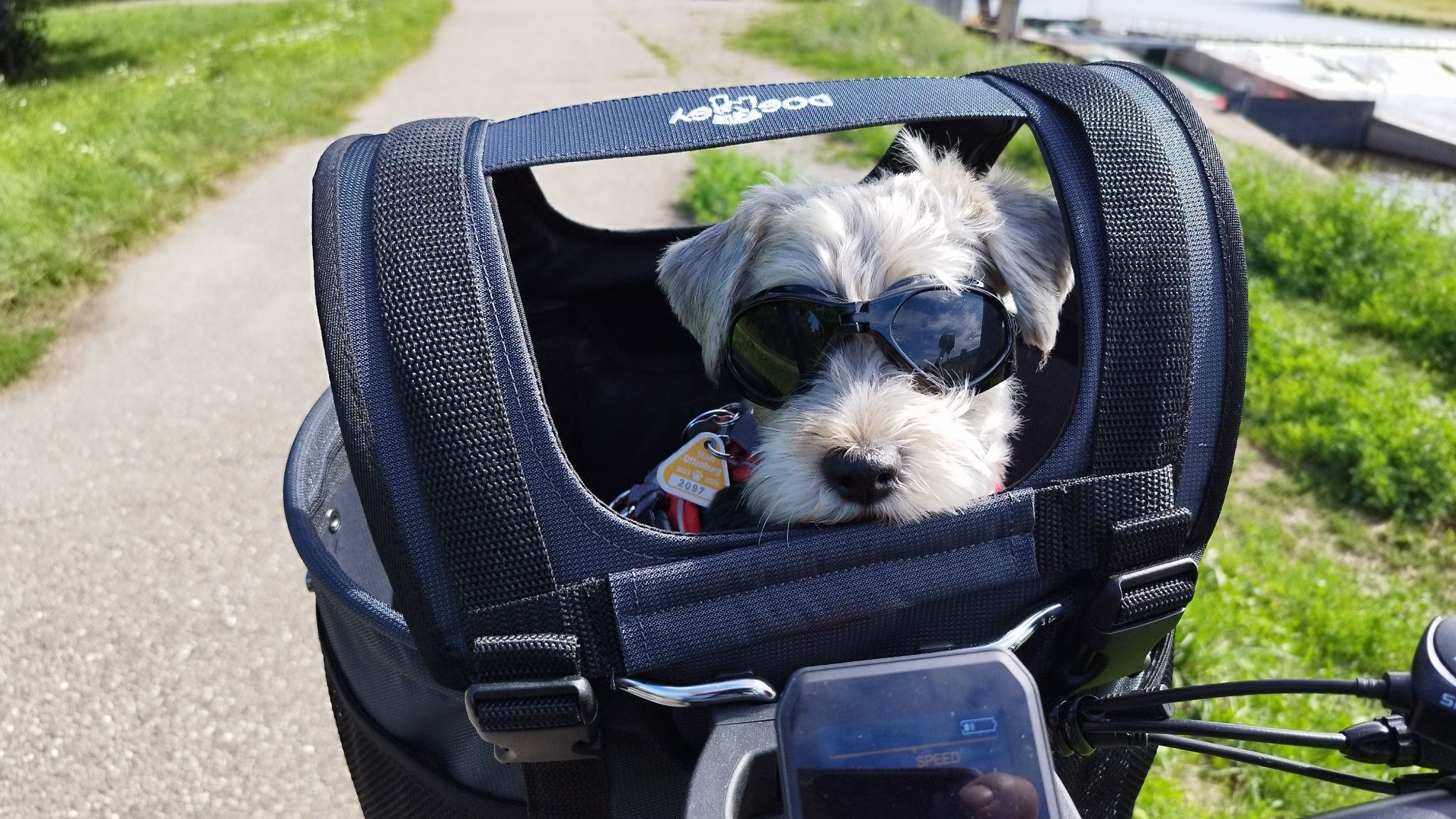 Dog travel bags