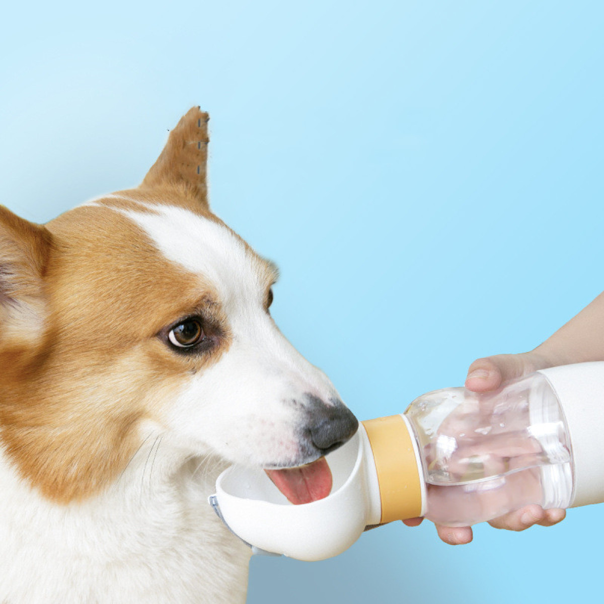 A dog drinking water from a portable bottle, featuring the best pet products to sell online from EPROLO.