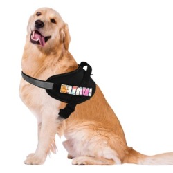 Pet Chest Strap & Traction Rope (Large)