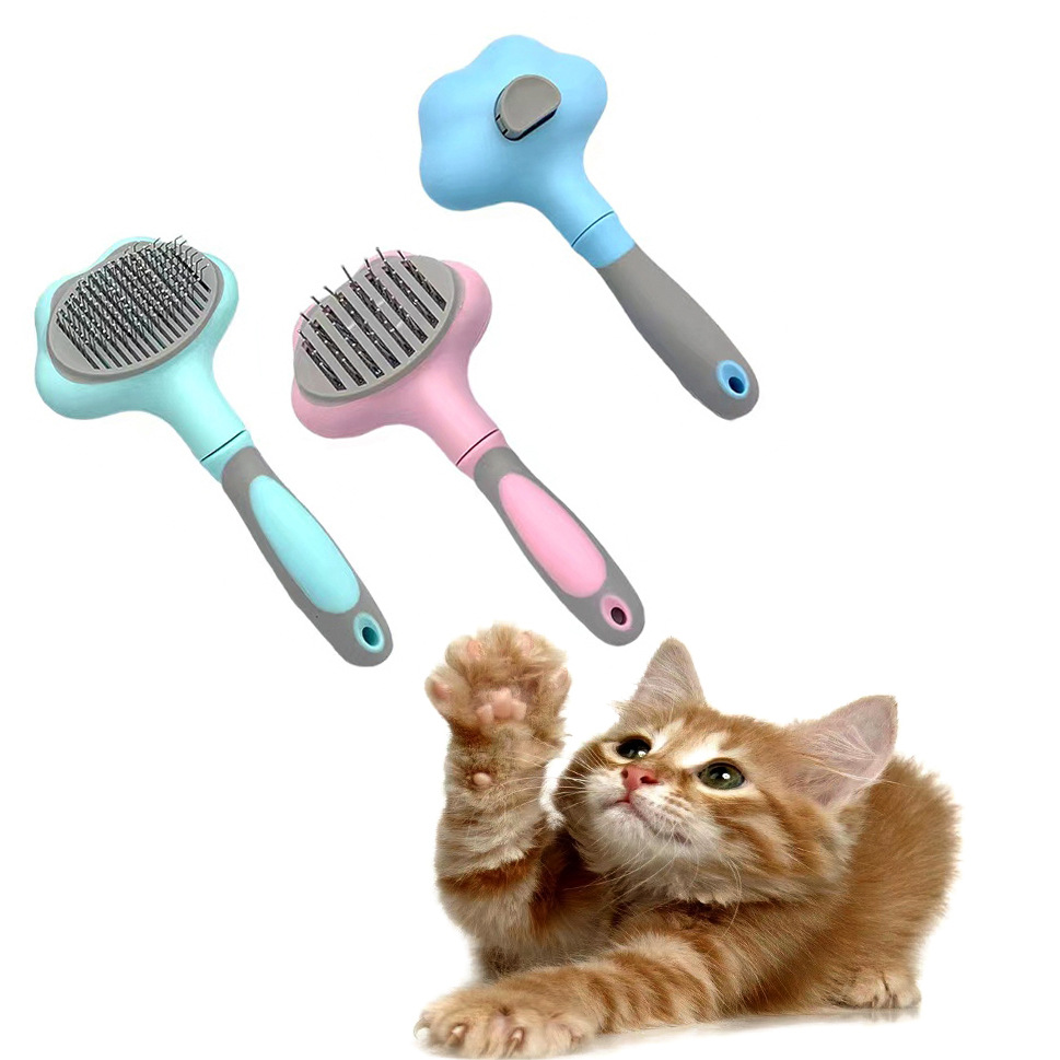 product name