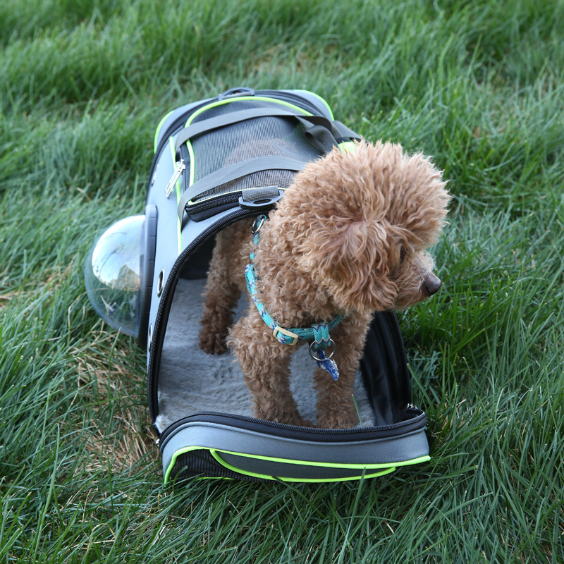 Introducing the Space Out Breathable Pet Carry Bag! With its breathable design, your furry friend can stay cool and comfortable during travel. This sleek and stylish pet bag also provides ample space for your pet to stretch and relax. Say goodbye to the hassle of uncomfortable pet carriers and hello to happy travels with your pet!