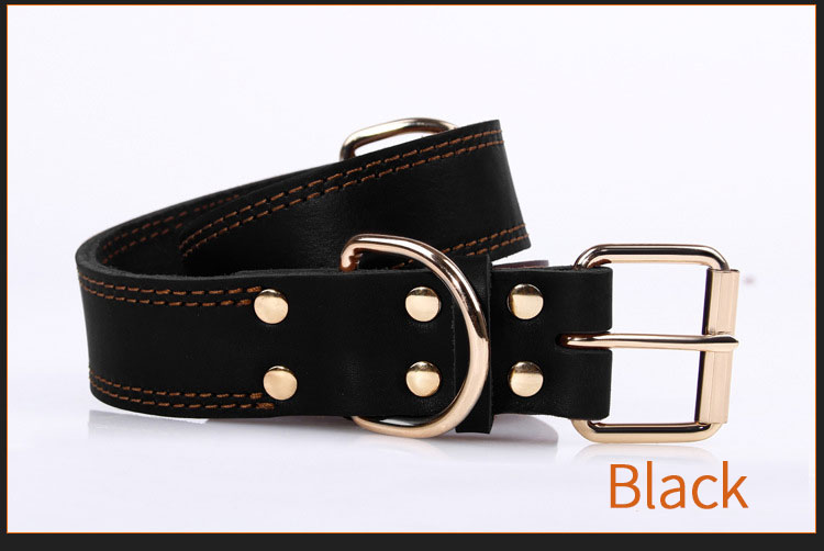 Ensure your pup looks stylish and stays safe with this quality Leather & Copper Dog Collar. Strong, durable and designed to last, it's perfect for adventures with your four-legged friend.