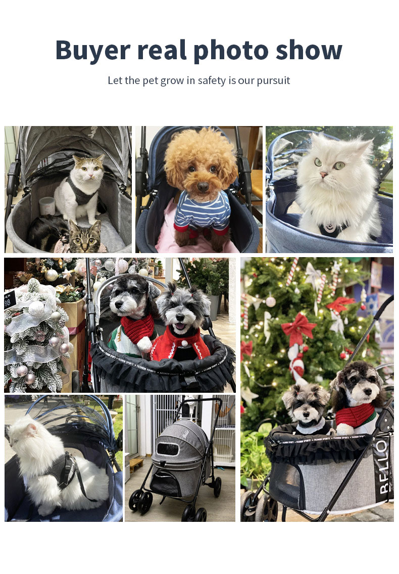 pet dog stroller1 (1).jpg