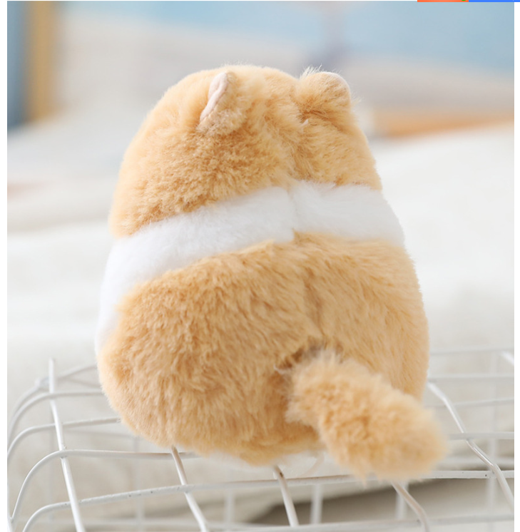 12567F978B5DCB1175D38146AEF97E64.png image.png