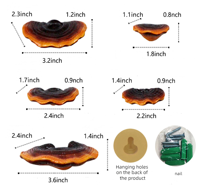 EBD6B1C35121575DC2A953B70F542DCA.png image.png