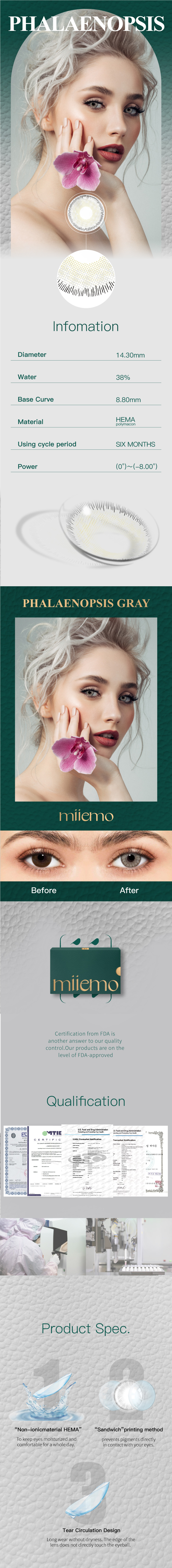 PHALAENOPSIS GRAY蝴蝶兰-灰-07.jpg