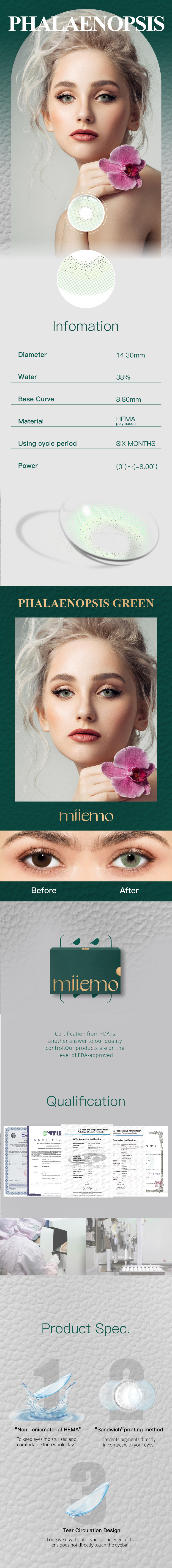 PHALAENOPSIS GREEN蝴蝶兰-绿-07.jpg