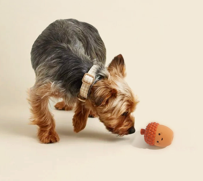 8AE34297BE1926E396562744B3794DE2.png image.png