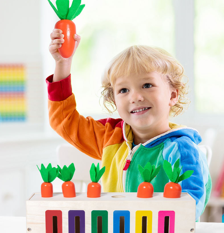 3-in-1 Montessori- Inspired Color Shape Recognition Toy