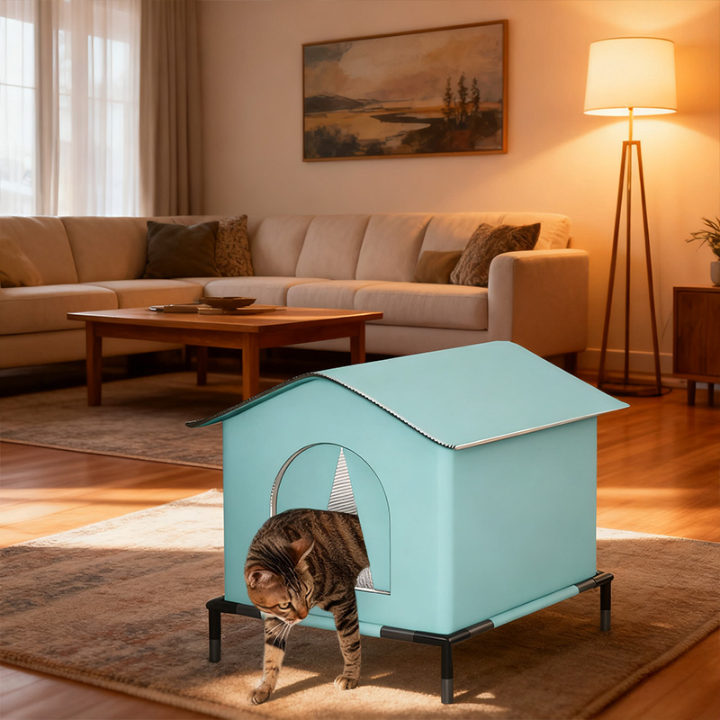 9217174B75D9B6F36CBB16088E86566E.jpg 6.jpg