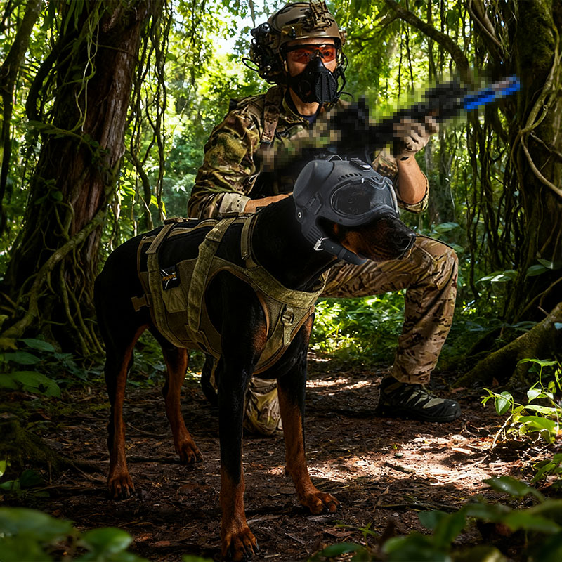 C12EF75B023A221192D56B14B05DFE97.jpg 5.jpg