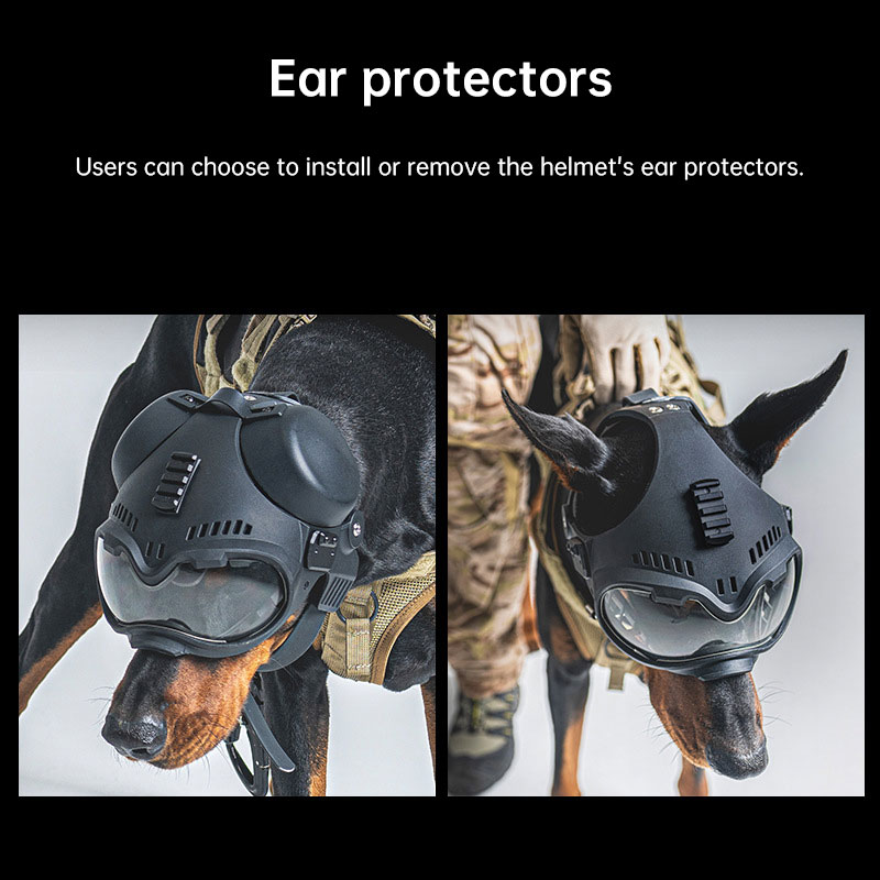 CC915A07D88E4814DE9AE8BF349E60CA.jpg 2.jpg