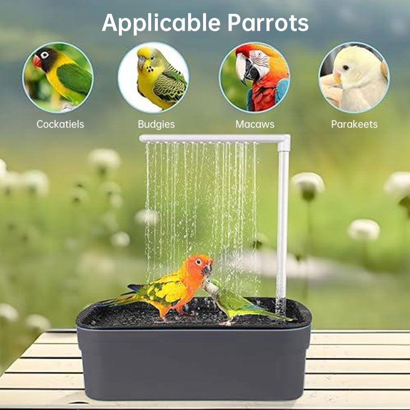 58C290C77195C80B6D205BEF085C2562.jpg 5.jpg