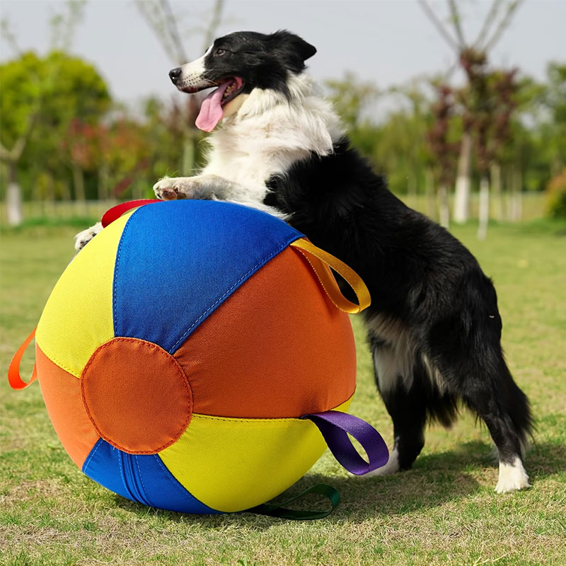 05FFAD81E7ADA07E5345CC29433A52CF.jpg 7.jpg