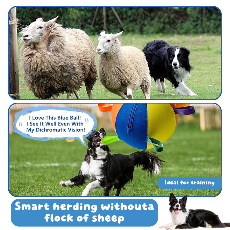 26BBDAD7FD6B4D80F1D59BF05BF9B1E4.jpg 3.jpg