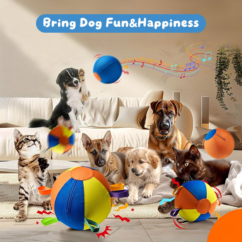 9DCEB8BC790340E8F2F736E849F4B24E.jpg 2.jpg