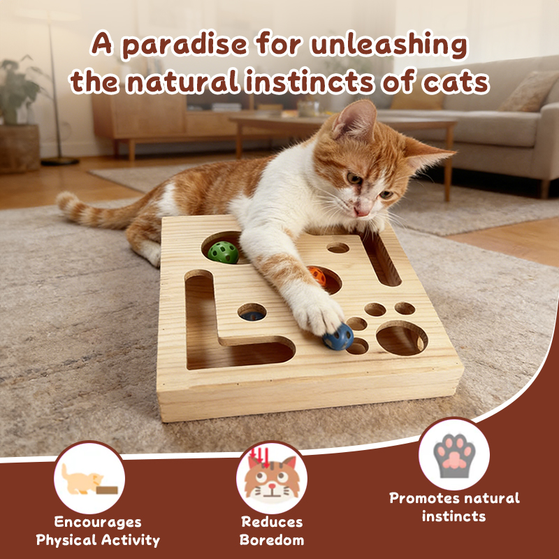 D7691172A8DDEC1DEE0003F47A93991D.jpg 2.jpg