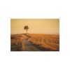 print on demand Tapestry & Blanket
