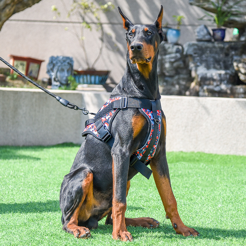This harness is designed to be both safe and comfortable for your pet with reflective strips for visibility. Crafted from high-quality materials, it offers superior protection and durability so you can have peace of mind in any situation.