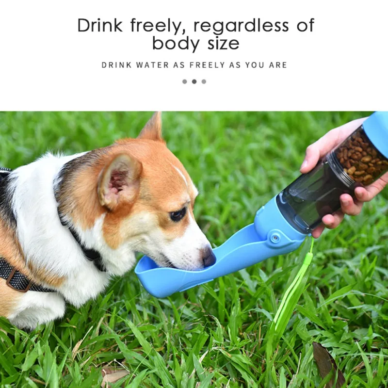 Can Dogs Drink Bottled Water?