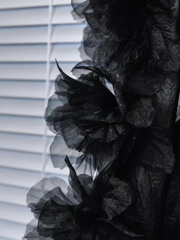 DSC_5813.JPG DSC_5813.JPG