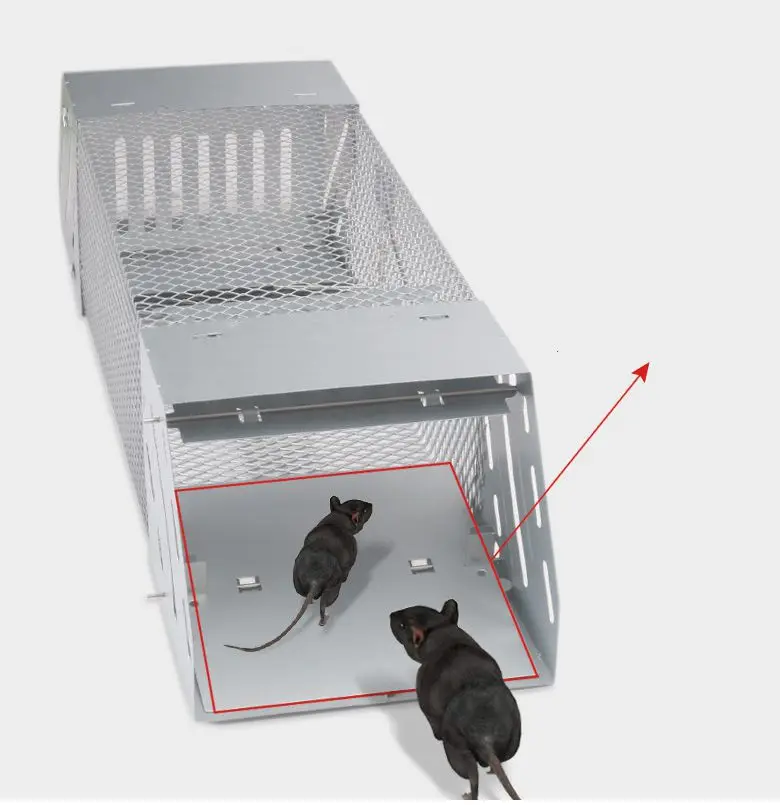 Humane Rat Trap, Chipmunk Rodent Trap That Work for Indoor and Outdoor Small Animal - Mouse Voles Hamsters Live Cage