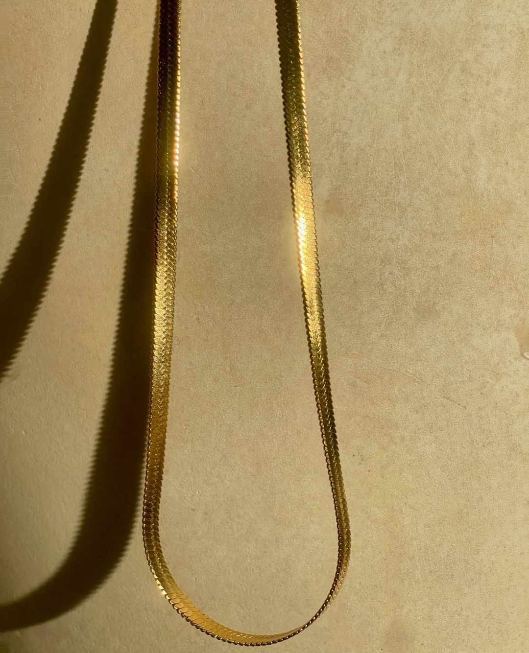 274087668_479366983694519_6652