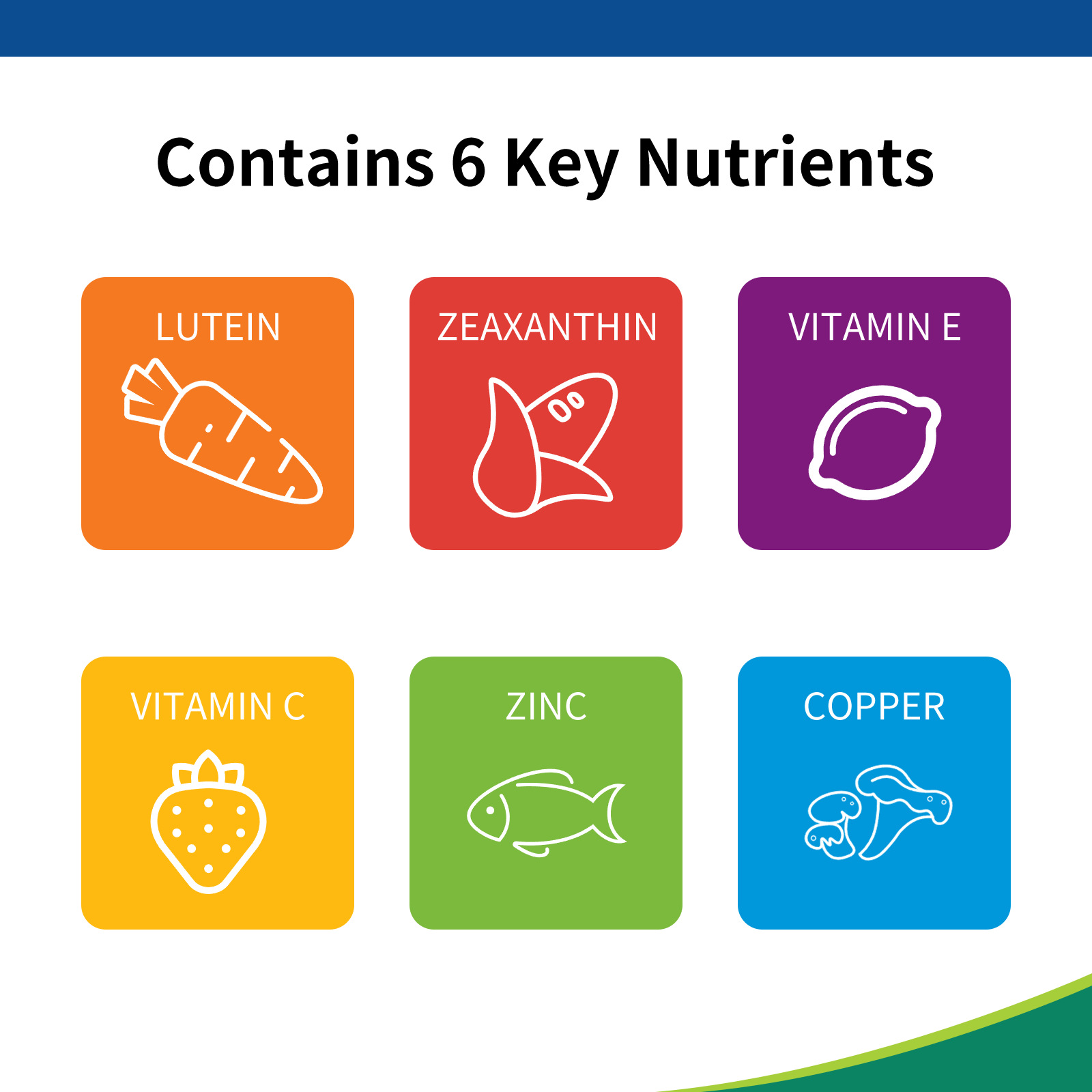 Six colorful square icons displaying key nutrients: orange Lutein carrot, red Zeaxanthin butterfly, purple Vitamin E lemon, yellow Vitamin C strawberry, green Zinc fish, blue Copper mushrooms