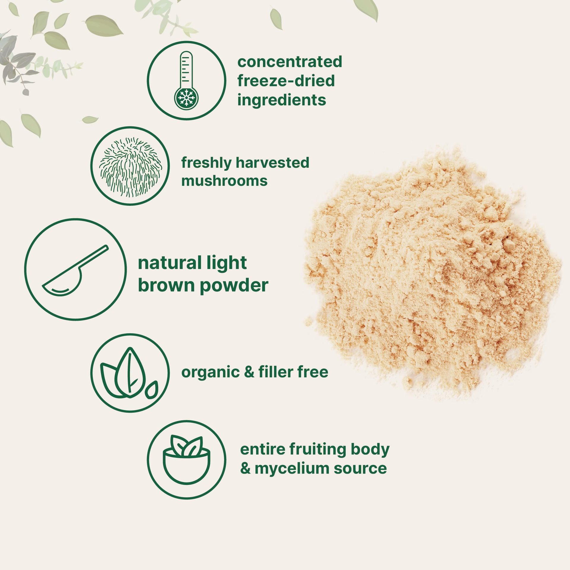 Infographic highlighting concentrated freeze‑dried ingredients, freshly harvested mushrooms, and whole fruiting body source