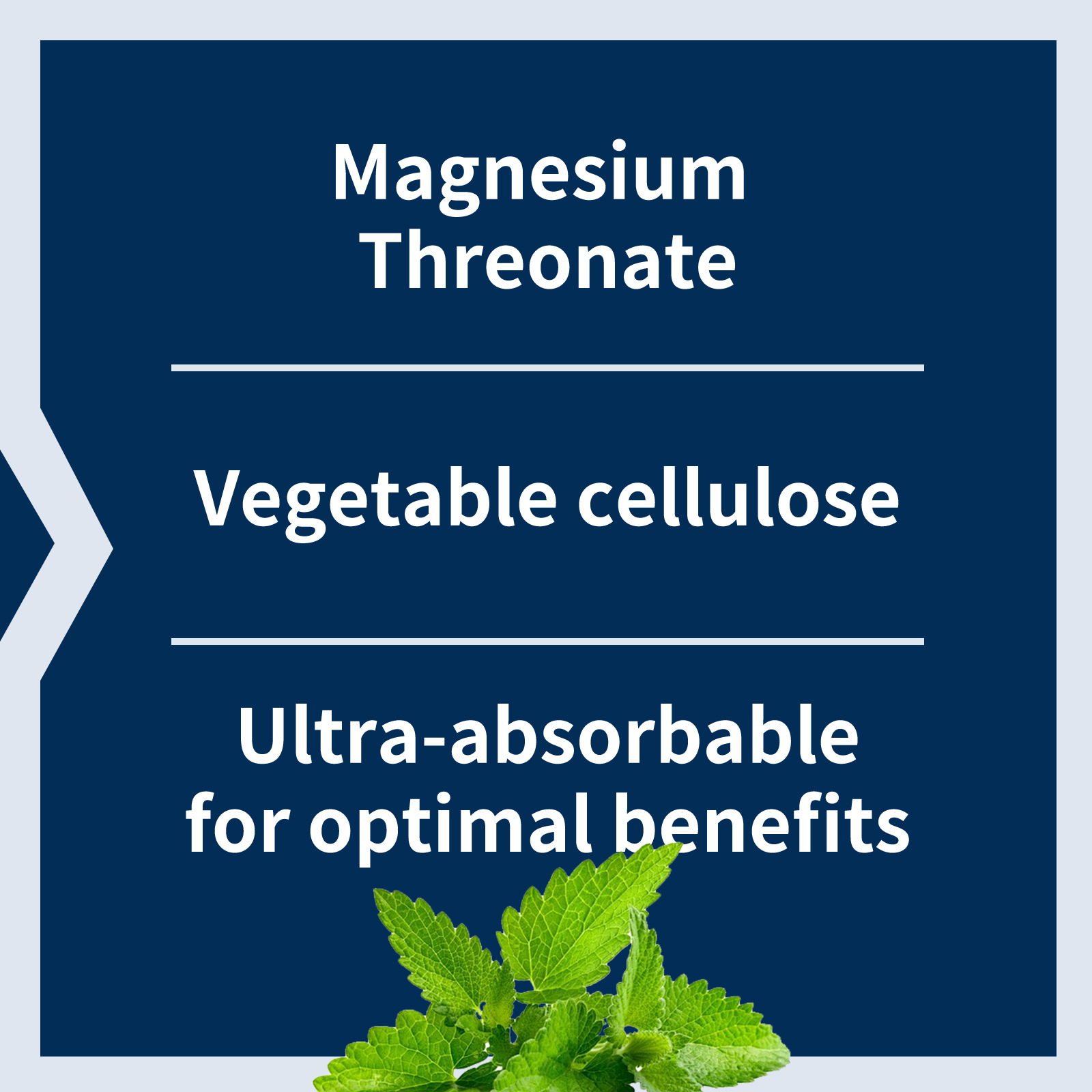 Key ingredient highlights: Magnesium Threonate, Vegetable cellulose, ultra-absorbable formula with mint leaf imagery