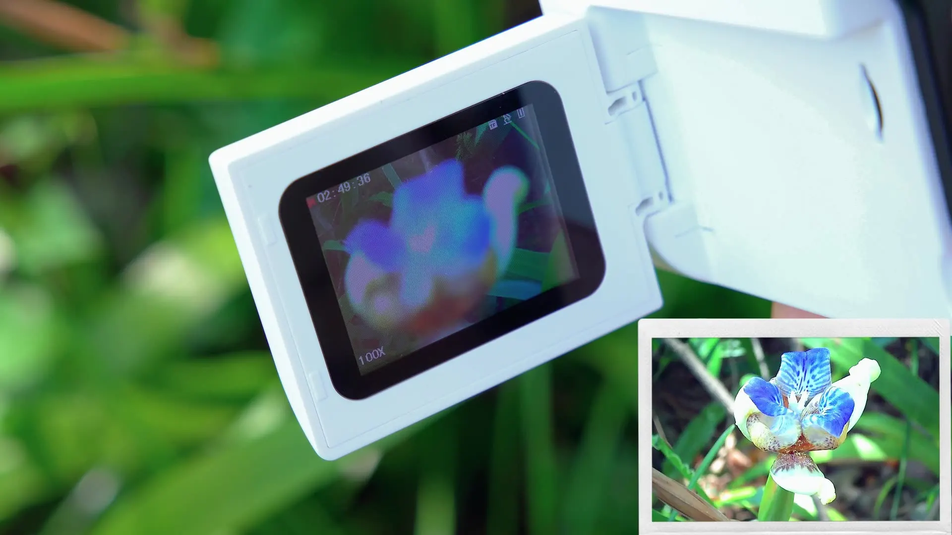 Digital Dv Small Camera Photograph and Video